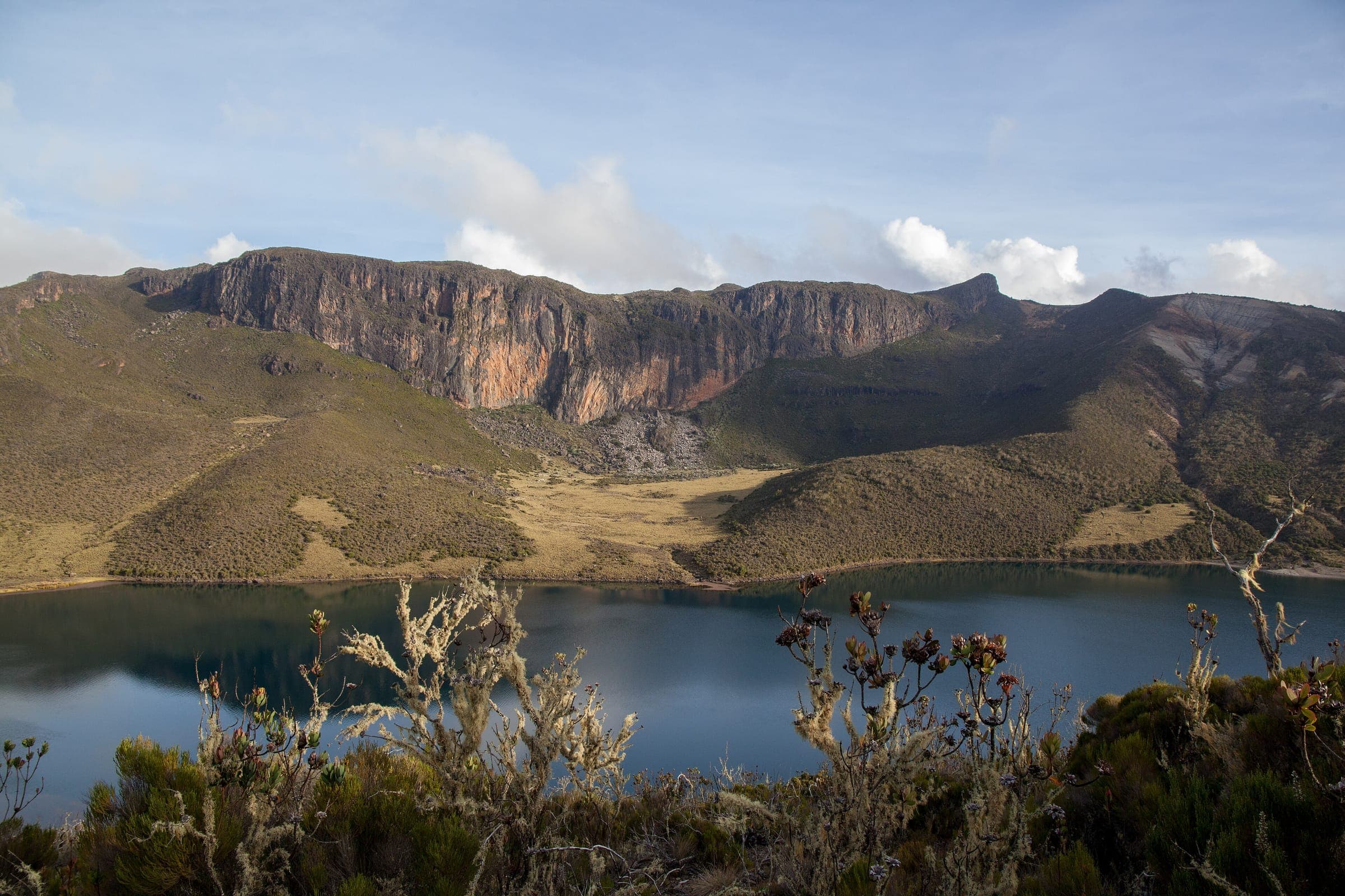 Moorland plants on the crater rim above Lake Alice